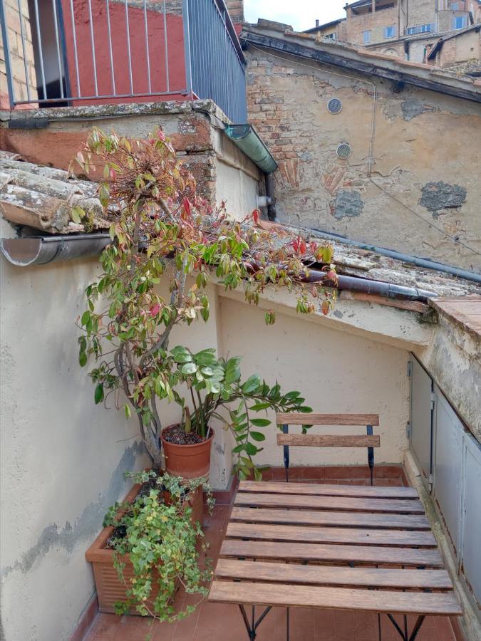 Vista Torre